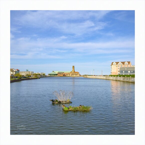 Scenic Overlook at Wesley Lake - Picture 1 of 2
